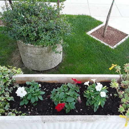 Mirta Apartament